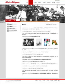 網(wǎng)站設(shè)計與網(wǎng)頁設(shè)計 數(shù)字時代視覺與功能的雙重奏