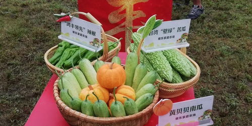 桐鄉(xiāng)十大市民最喜愛農(nóng)產(chǎn)品評選活動火熱開啟，投票參與贏好禮！